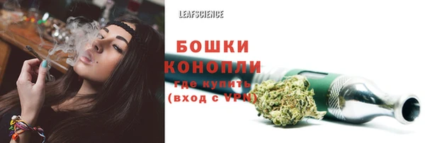 ALPHA PVP Рославль