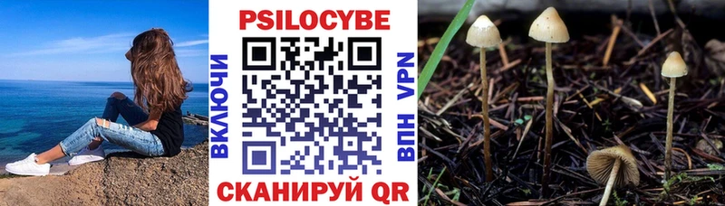 наркота  Камышлов  Псилоцибиновые грибы Magic Shrooms 