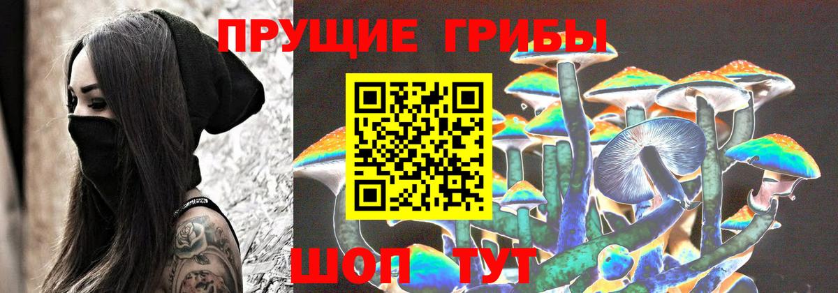 Псилоцибиновые грибы Cubensis  Вход с VPN  Камышлов 