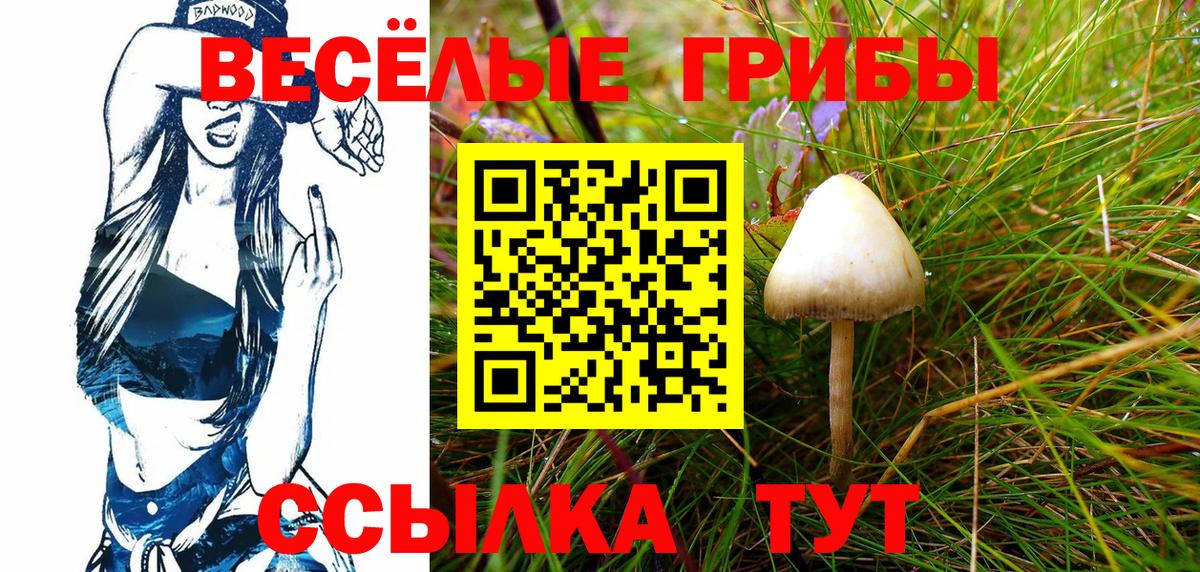 Галлюциногенные грибы MAGIC MUSHROOMS Камышлов